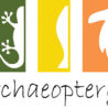 Opendag Veterinaire studievereniging Archaeopteryx